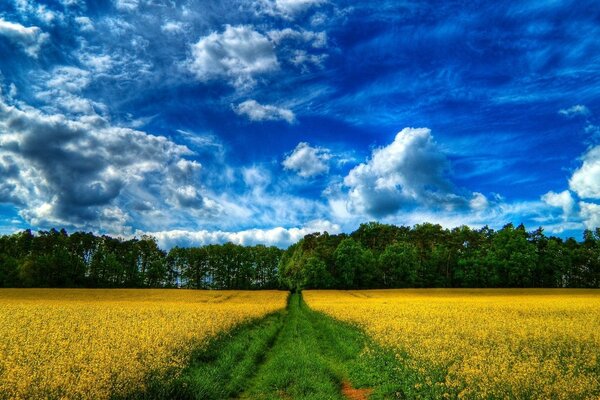 ग्रामीण परिदृश्य की कभी न भूलने वाली प्रकृति