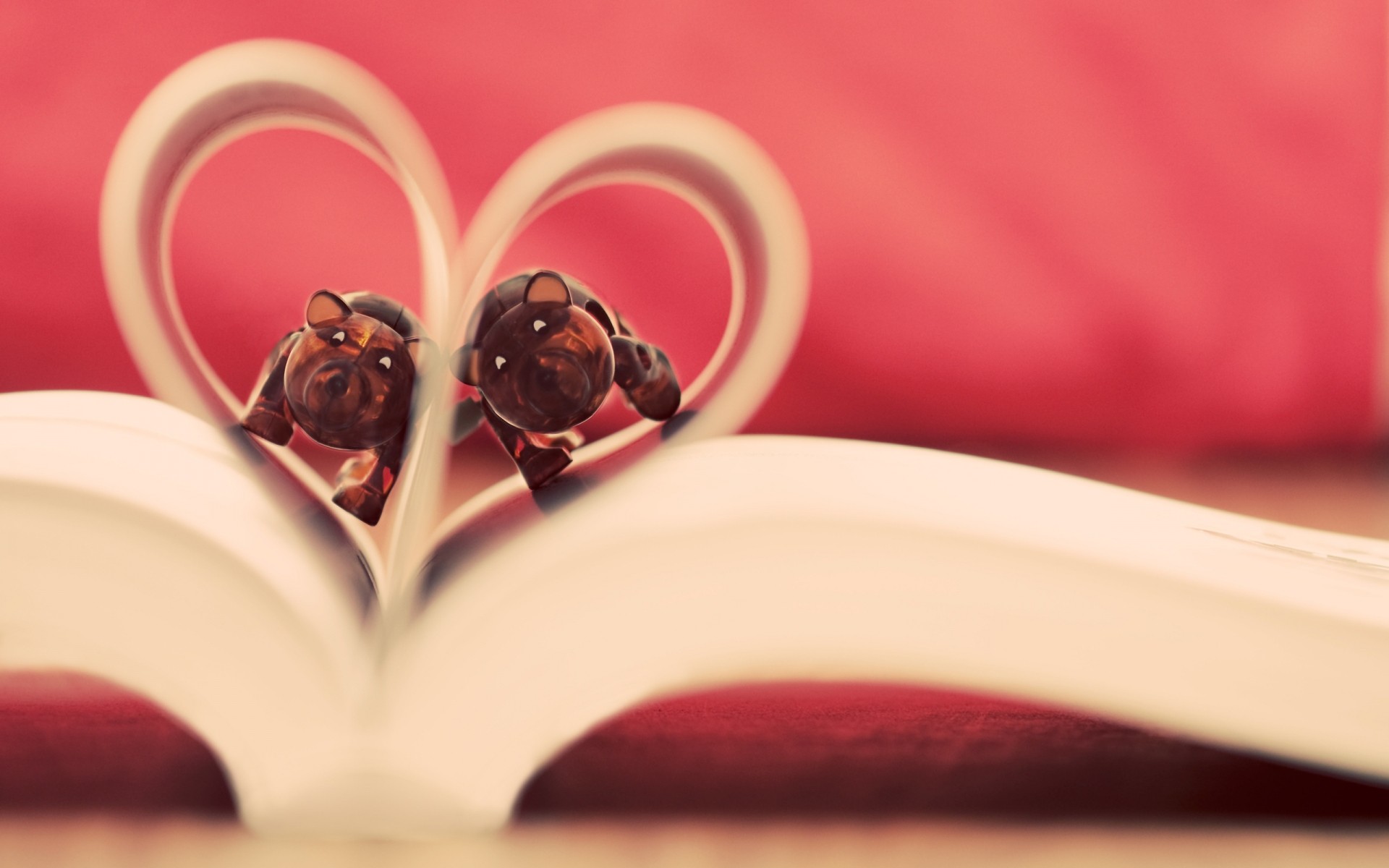 प्यार शादी फूल रोमांस गुलाब अभी भी जीवन पेय दिल