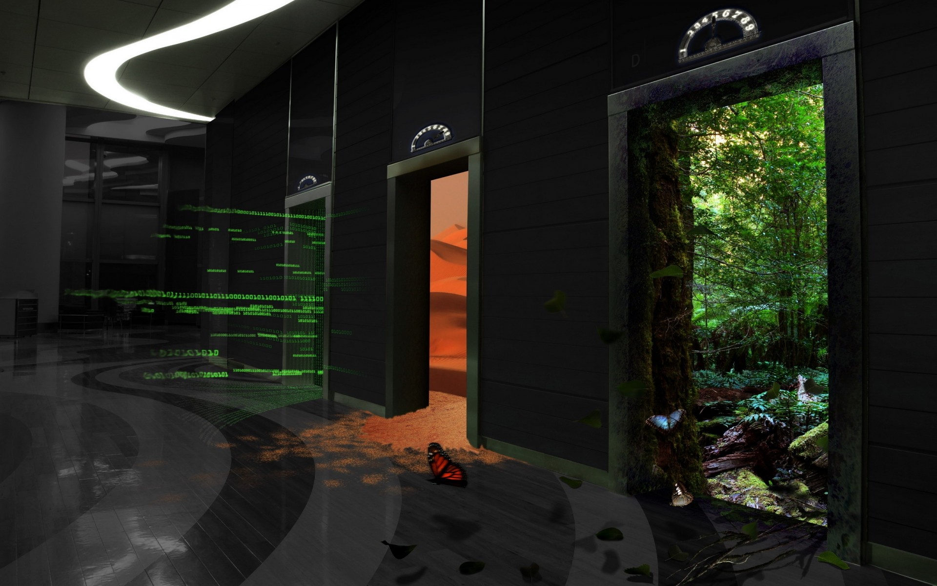 प्रकाश परिदृश्य घर यात्रा प्रकृति कला तकनीकी तितली पृष्ठभूमि