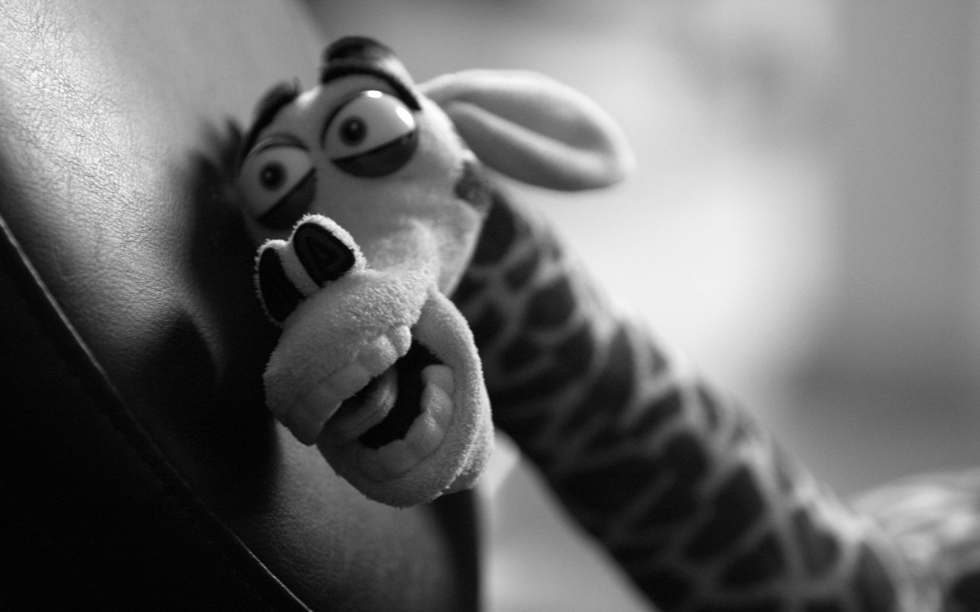 मोनोक्रोम आदमी चित्र वयस्क एक लड़की काले और सफेद महिला पैर डीओएफ नग्न हाथ