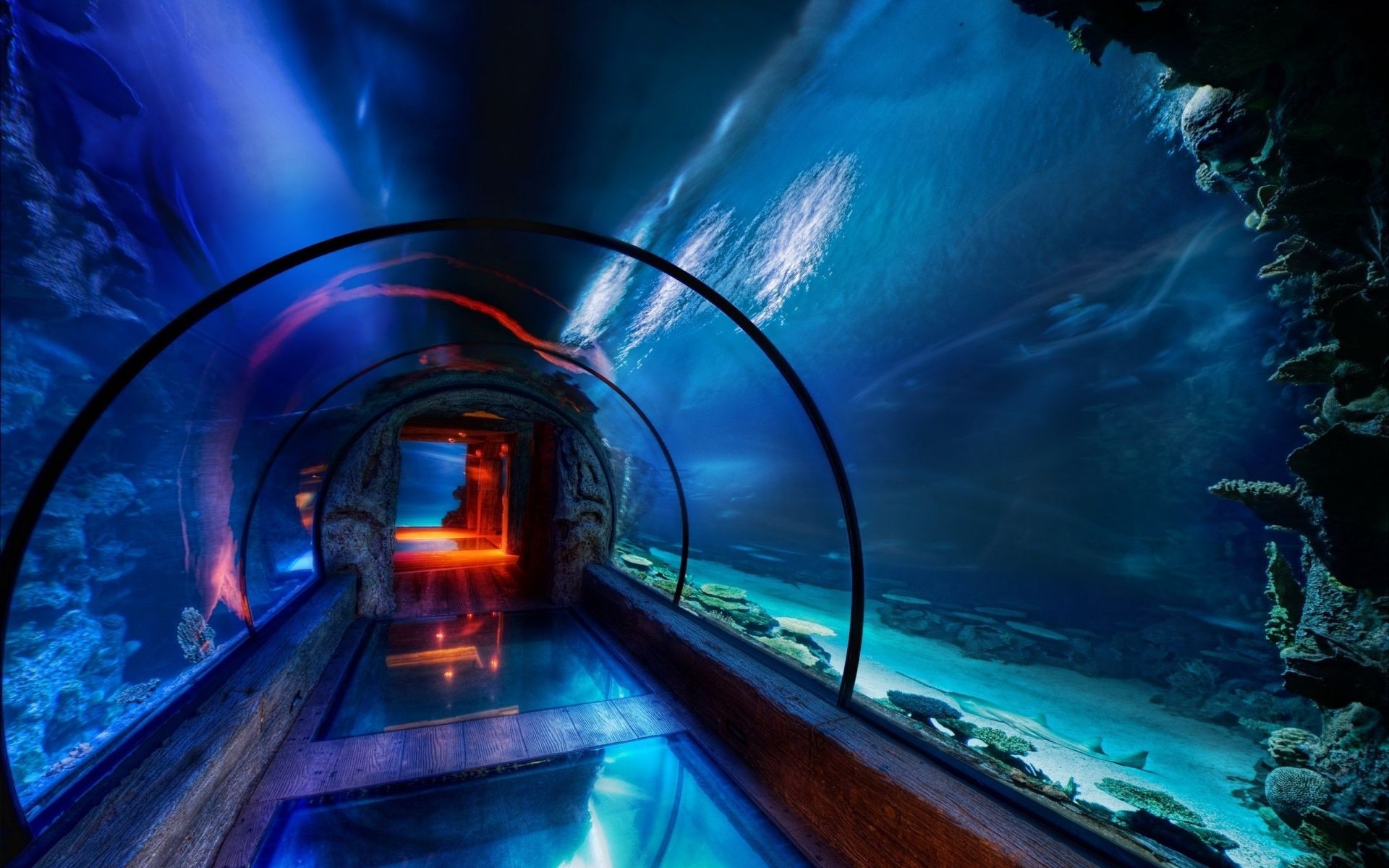 सुरंग प्रकाश कलंक यात्रा परिवहन प्रणाली यातायात शाम ट्रैफिक जाम