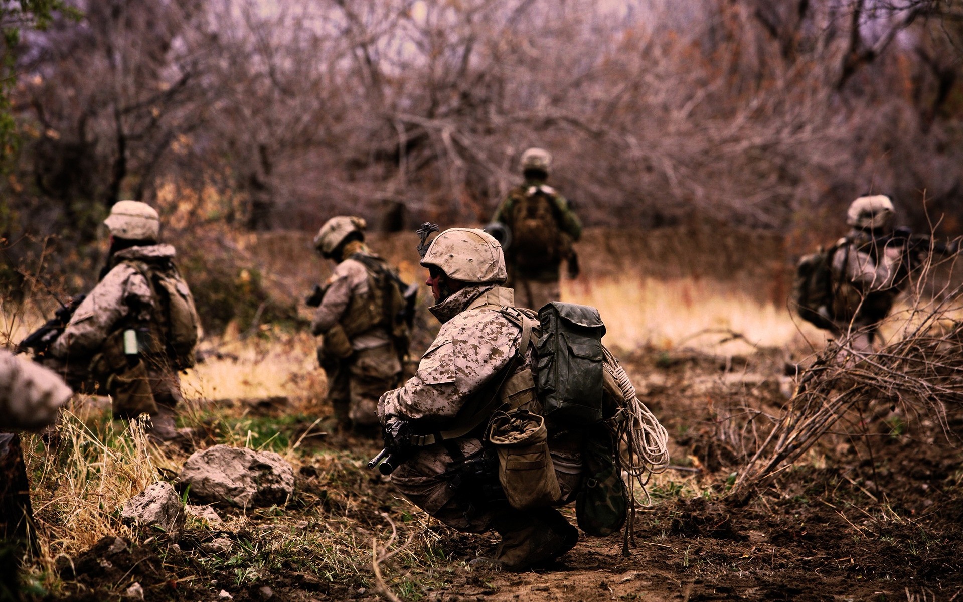 सैनिक सेना सैन्य युद्ध मुकाबला हथियार पिस्तौल लड़ाई राइफल गोला बारूद छलावरण लकड़ी लकड़ी वयस्क शिकारी आदमी सैनिकों