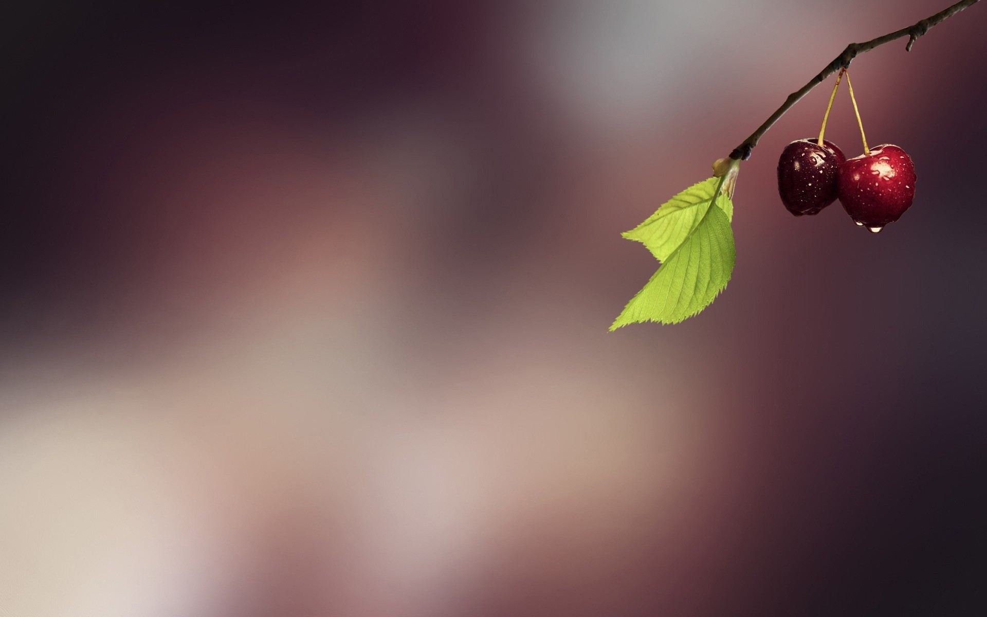 धुंधला प्रकृति पत्ता सार कला चेरी फल