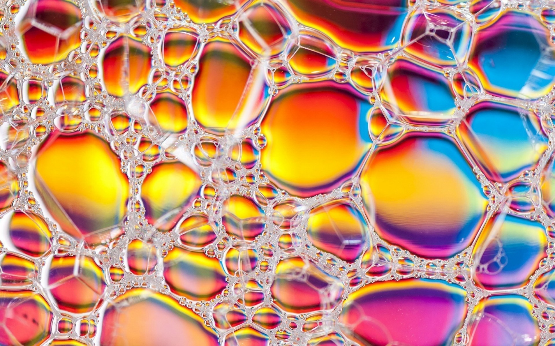 सार टेम्पलेट बनावट सेल फोन डेस्कटॉप डिजाइन सजावट वॉलपेपर कला रंग आकार सूक्ष्म जीव विज्ञान ज्यामितीय पृष्ठभूमि उज्ज्वल रसायन विज्ञान जीव विज्ञान चित्रण विज्ञान कण फोम बुलबुले
