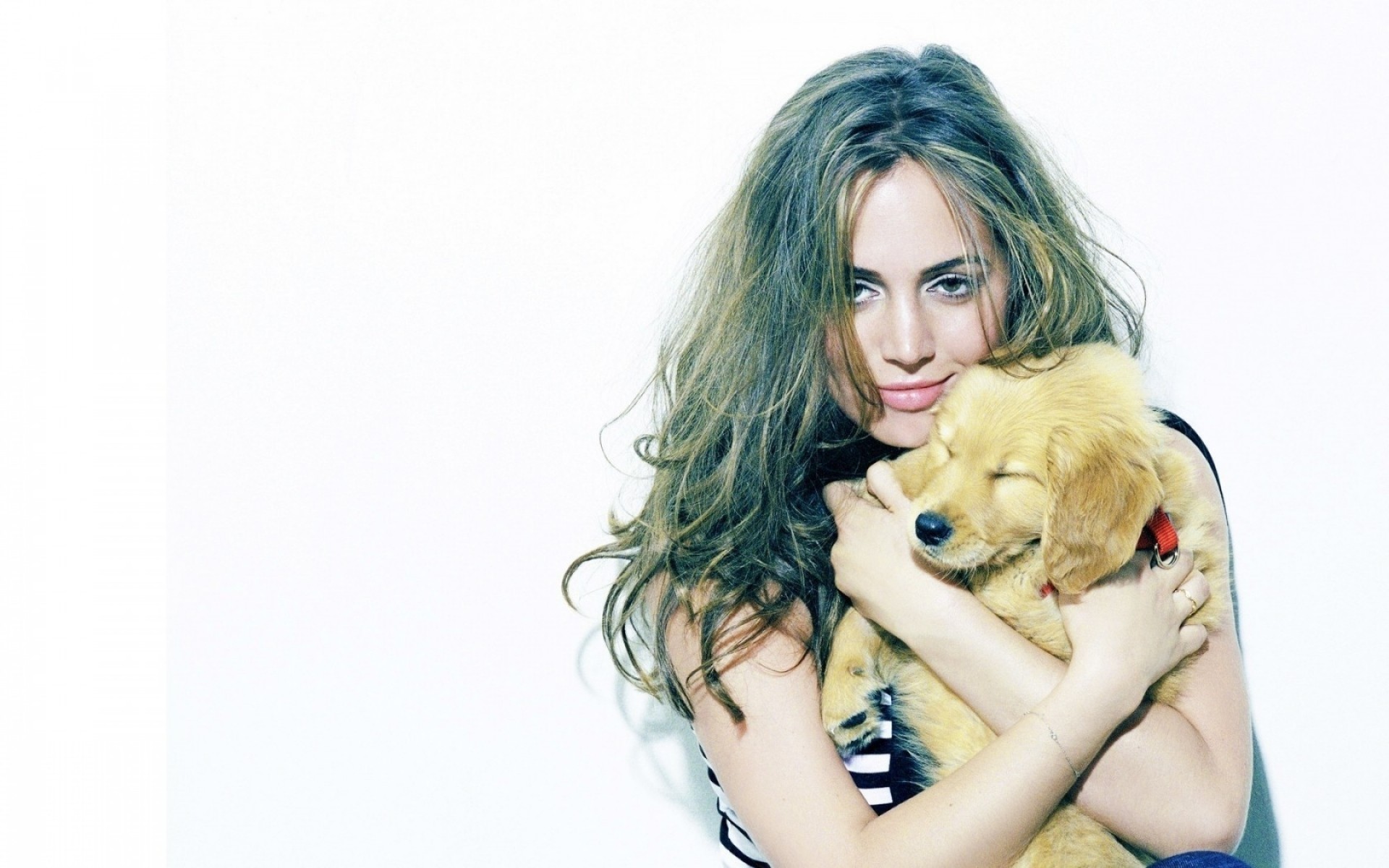 लड़की सुंदर युवा महिला चित्र प्यारा स्टूडियो फैशन डेस्कटॉप मॉडल सुंदर बाल सेक्सी आकर्षक पृथक ग्लैमर घुंघराले पिल्ला अभिनेत्री