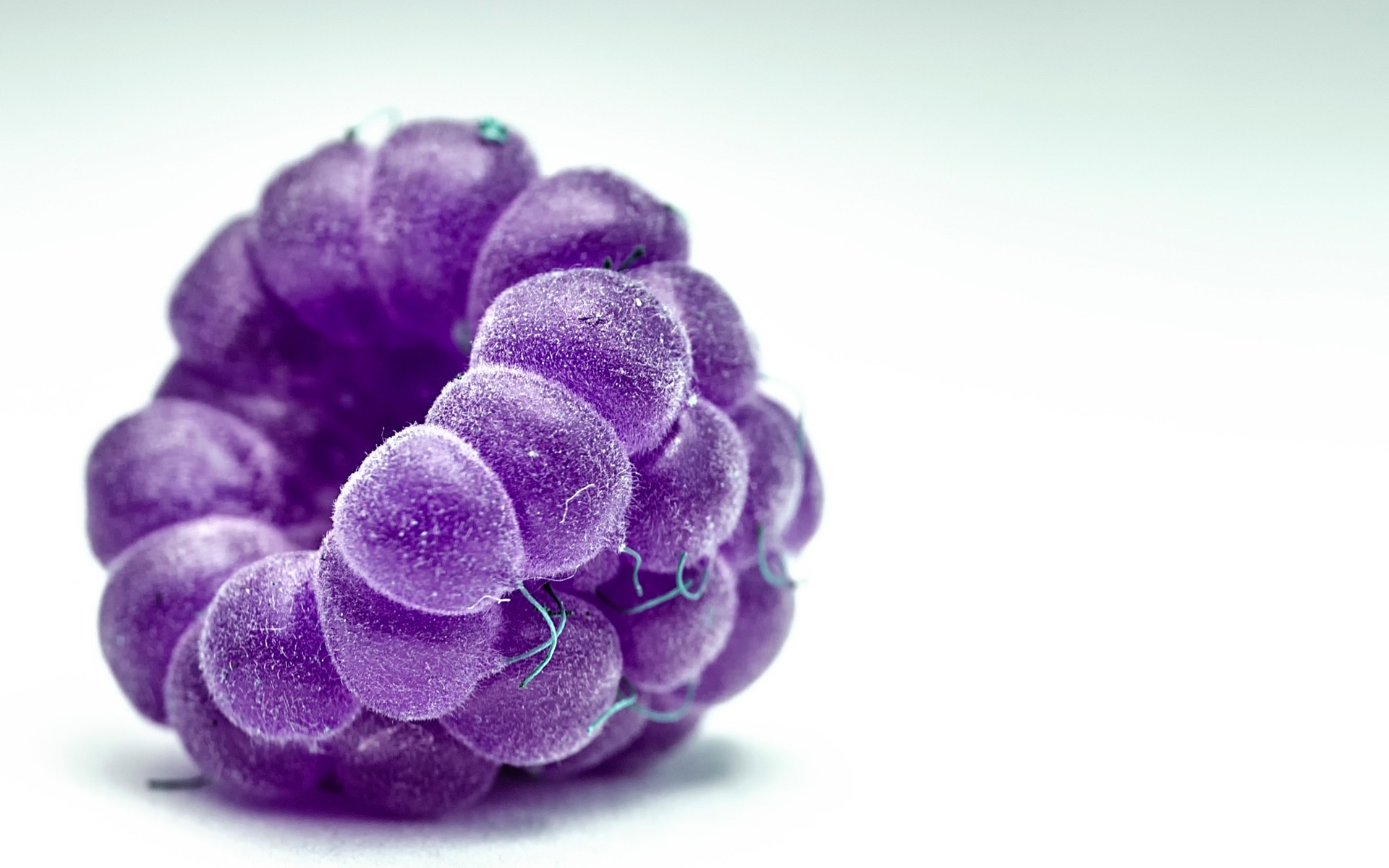 प्रकृति डेस्कटॉप बंद हुआ रंग वनस्पति पृथक रास्पबेरी मैक्रो फल बेर