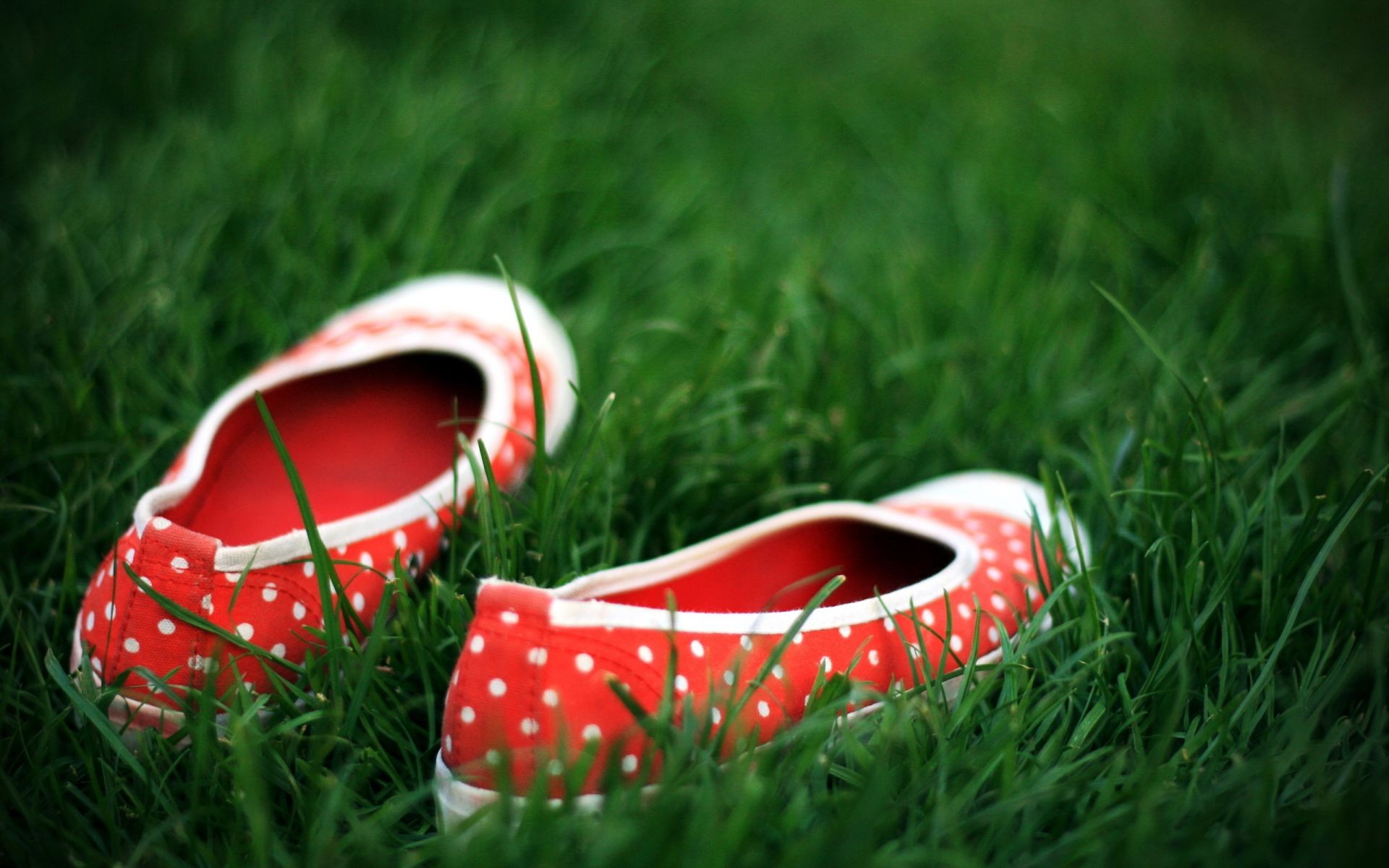 घास गर्मी क्षेत्र चमड़ा रंग लॉन मनोरंजन जूते सड़क पर दो घास का मैदान युगल प्रकृति क्लोज-अप