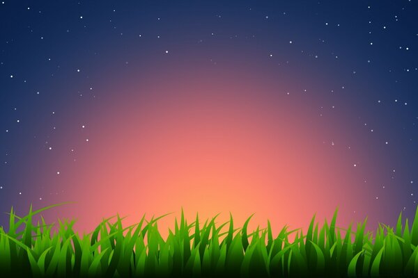 सूर्यास्त पृष्ठभूमि पर घास की ग्राफिक ड्राइंग