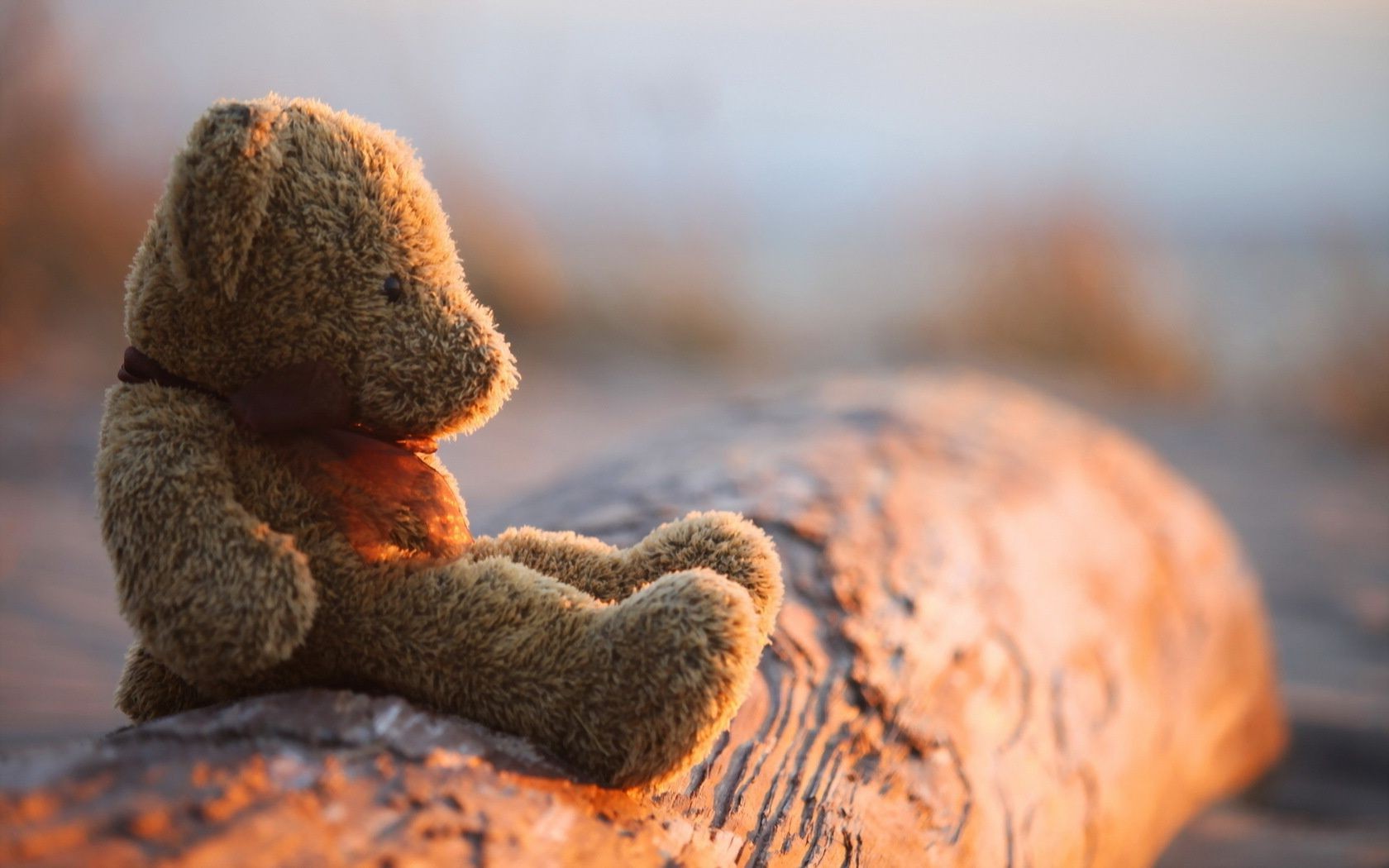 प्रकृति सड़क पर भोजन