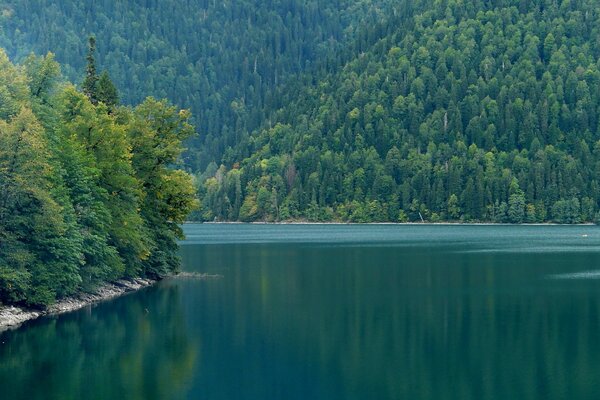 जंगलों और पहाड़ों की पृष्ठभूमि पर पहाड़ी नदियाँ