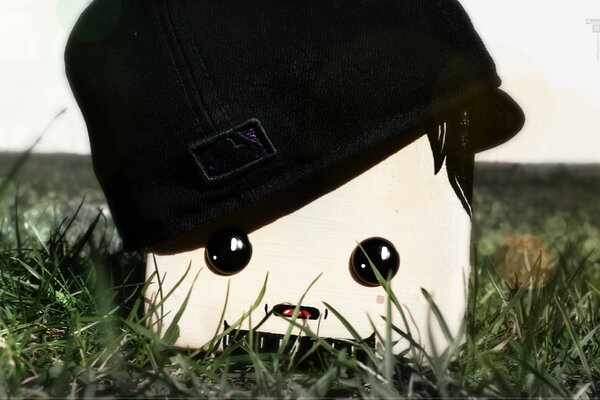 घास पर एक टोपी में तून