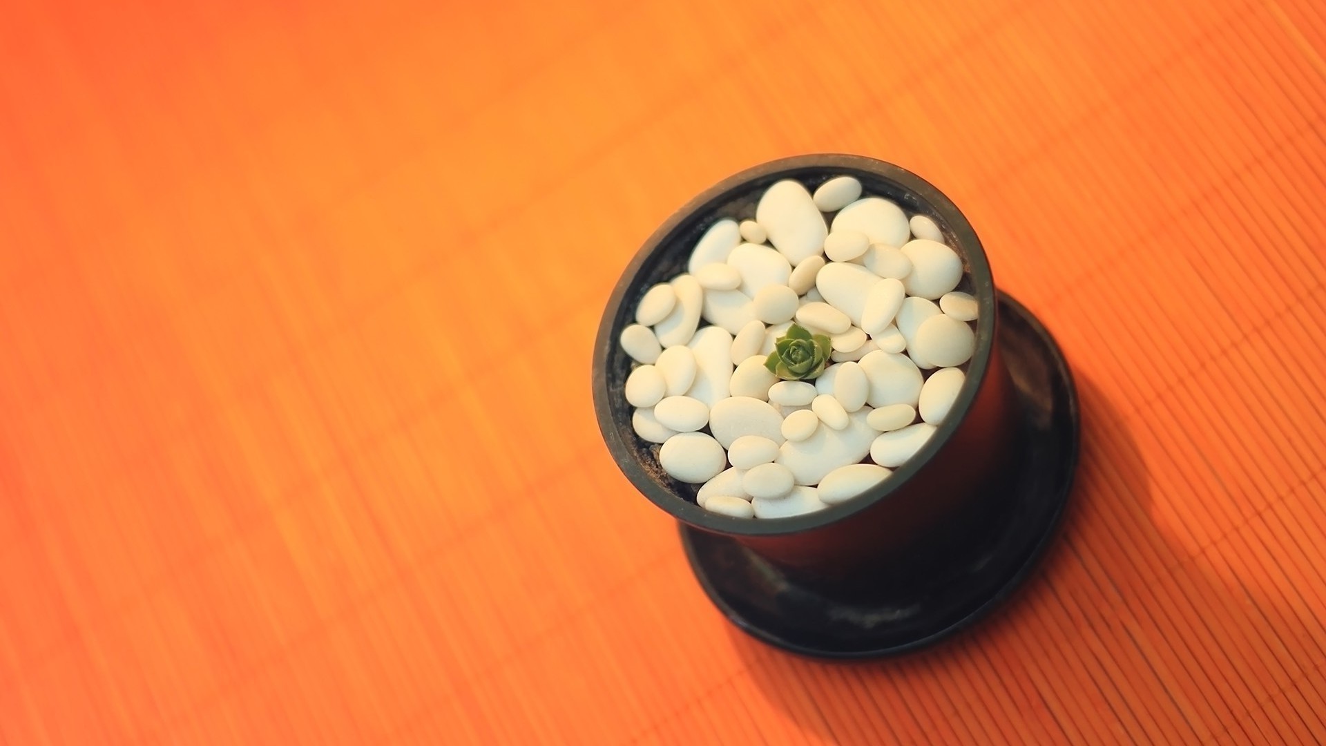 भोजन चिकित्सा डेस्कटॉप स्वास्थ्य कटोरा लकड़ी अभी भी जीवन स्वस्थ