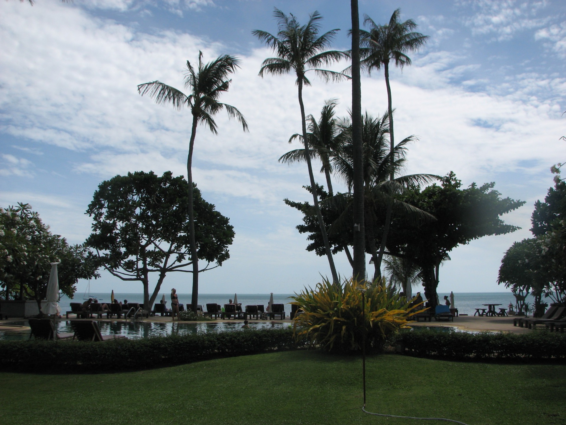 पेड़ ताड़ सहारा छुट्टी यात्रा उष्णकटिबंधीय छुट्टी होटल छुट्टी पानी दिन के उजाले द्वीप समुद्र तट पर्यटन समुद्र घर के बाहर आकाश विलासिता पार्क