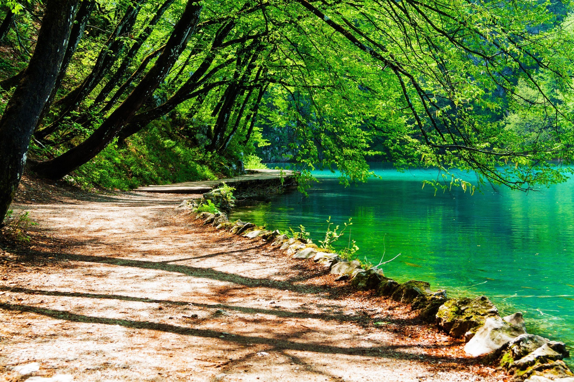 लकड़ी प्रकृति पानी पेड़ परिदृश्य पत्ती गर्मी सड़क पर सुंदर अच्छा मौसम पार्क मौसम यात्रा परिदृश्य ठंडक सूरज रसीला दृश्य