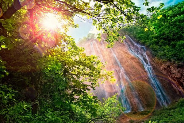 सूरज से झुलसी पहाड़ की धाराएँ