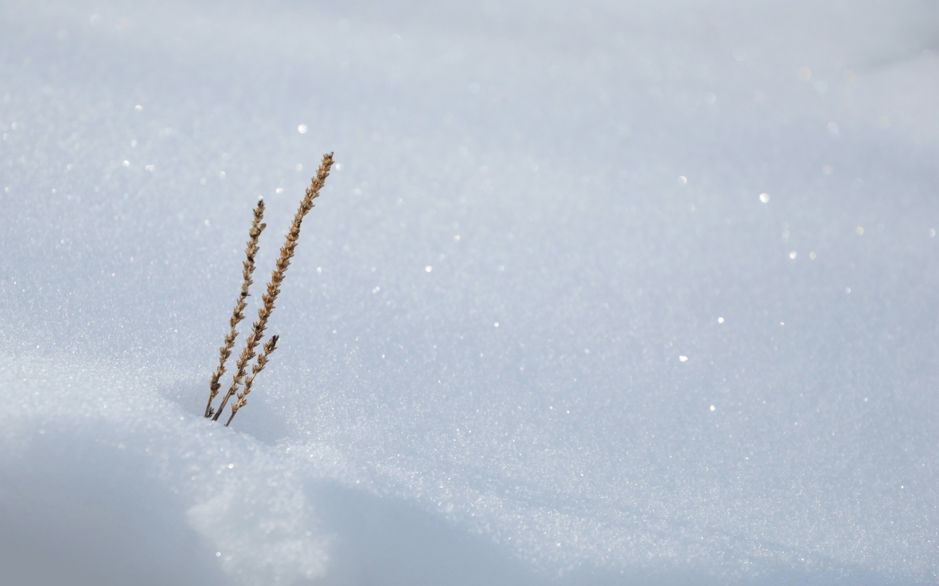 सर्दी बर्फ आकाश हवाई जहाज परिदृश्य हवाई जहाज दिन के उजाले मौसम ठंड बर्फ प्रकृति घर के बाहर डेस्कटॉप हवाई जहाज अंतरिक्ष हवा उड़ान प्रकाश ठंढ